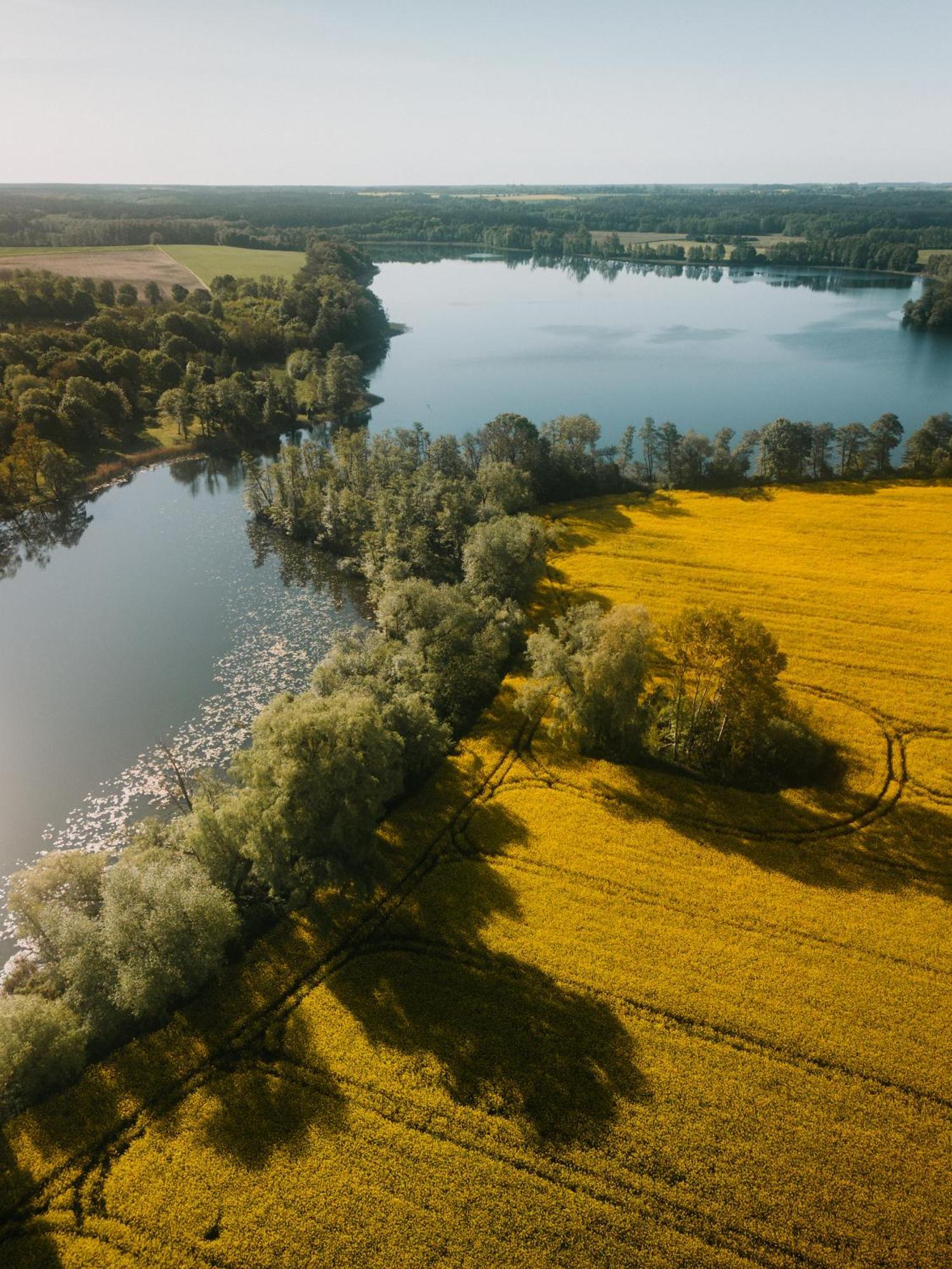 Palac Srodka Chrzypsko Wielkie Dış mekan fotoğraf